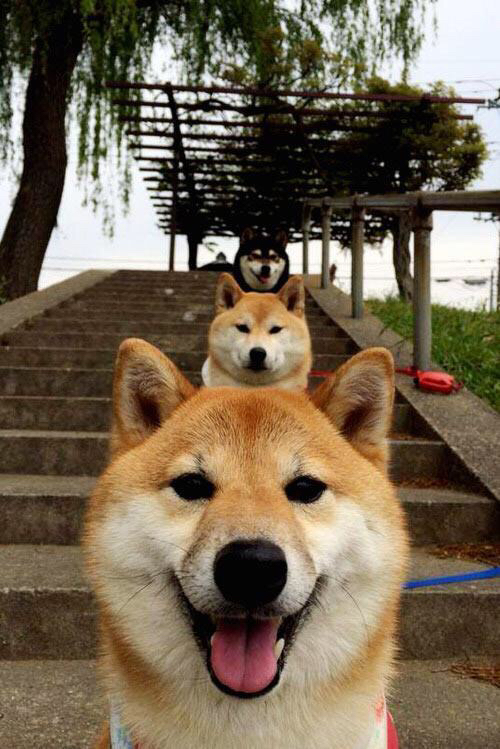 CBA球队优化战术板块精细化管理，当前cba联赛主要采取的防守方式