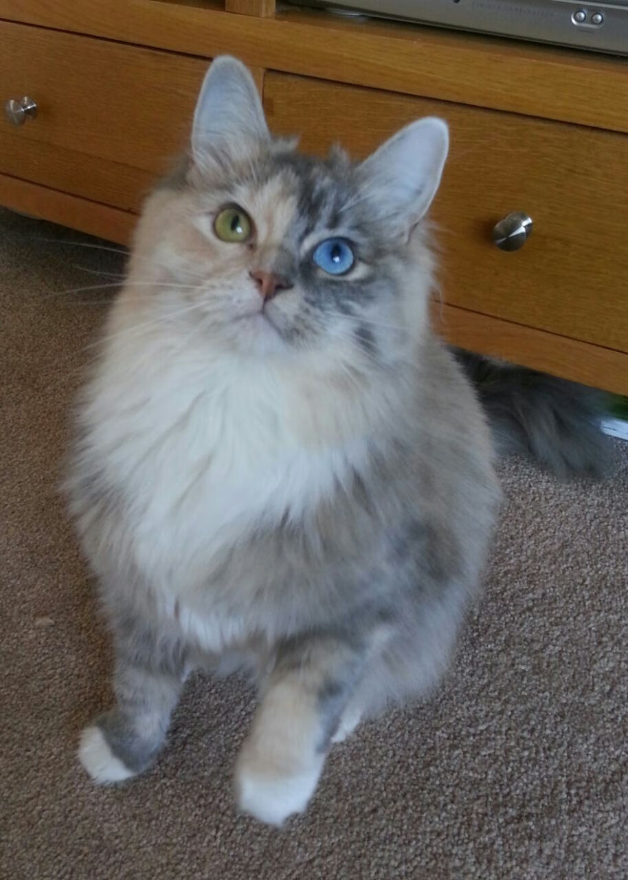 爱游戏app推荐-“重拳出击！四川省体育馆拳击赛场风云再起”