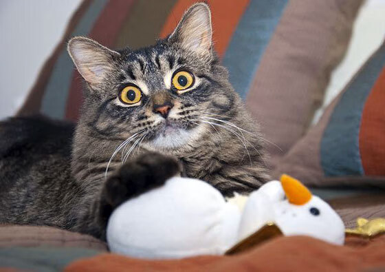 爱游戏平台-比赛节奏是否影响球员场上沟通频率，详述什么是比赛节奏