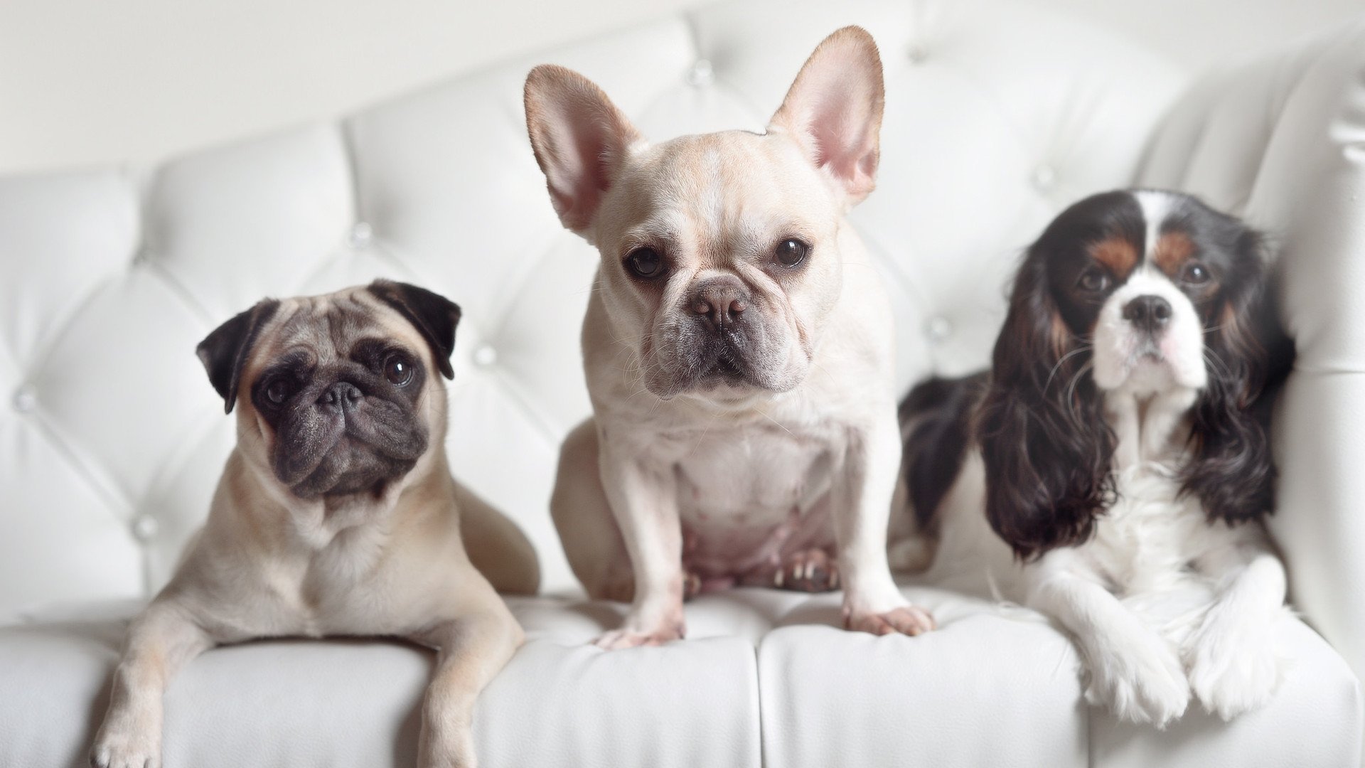 滑雪培训课程受青少年欢迎报名踊跃,滑雪 培训