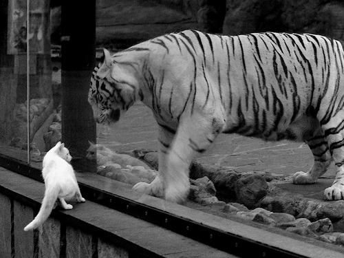 英超激烈角逐，豪门奋勇追赶前列