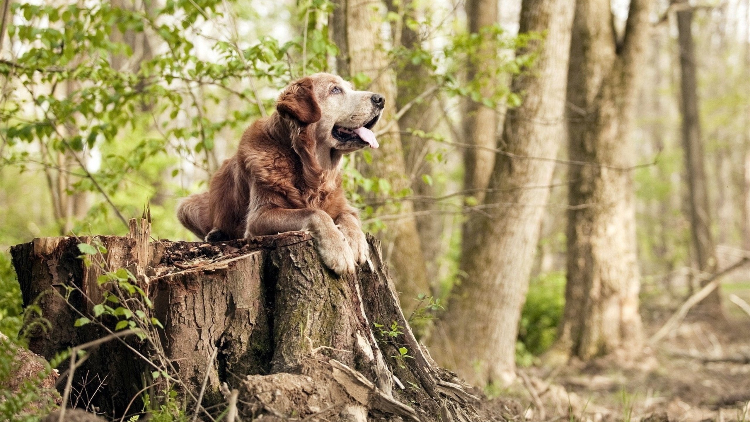 爱游戏体育下载-青训选拔设立双通道机制兼顾技术与潜力评价