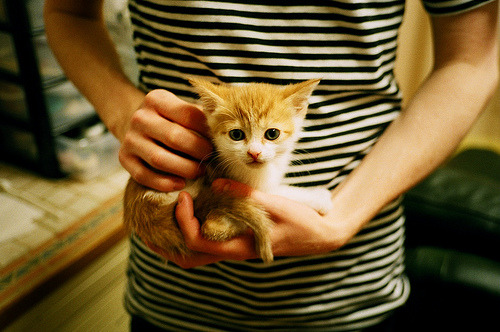 爱游戏官网-马刺球迷自发组织球队加油短片走红网络，马刺团队配合