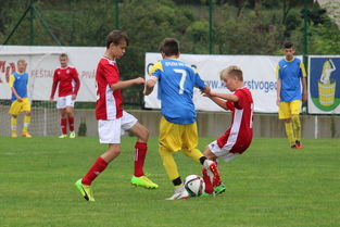 爱游戏-PSG球迷对未来充满期待与担忧，psg-esports